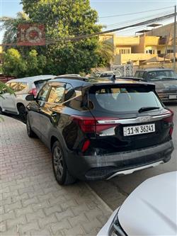 کیا سێلتۆس